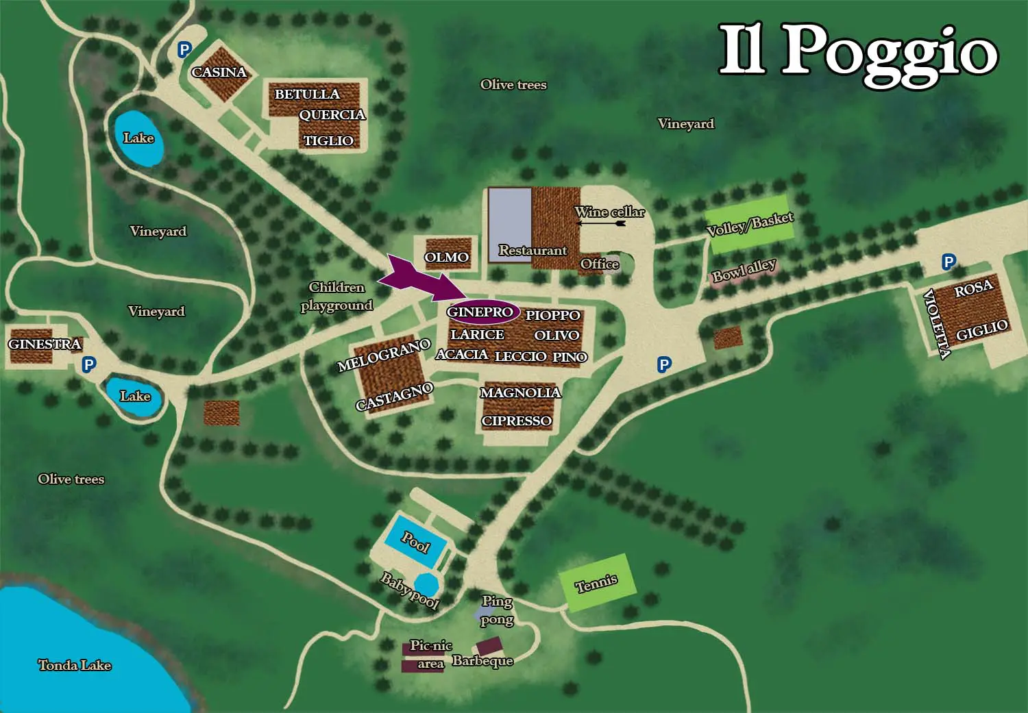 A map of the grounds of il poggibonsi