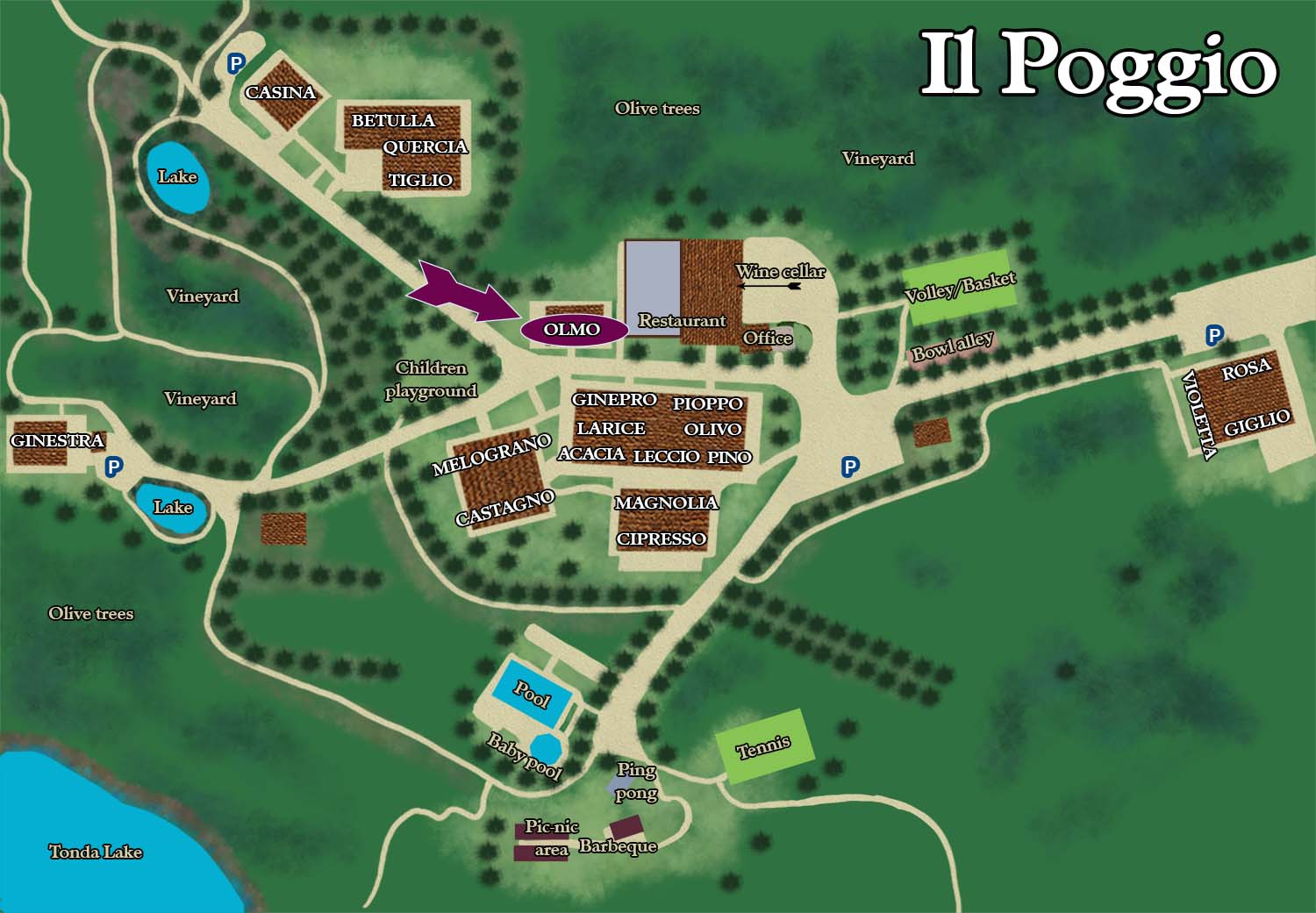A map of the grounds of il poggibonsi