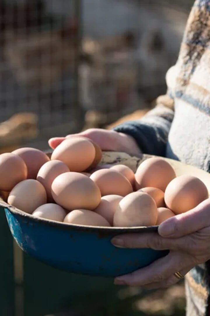 A person holding an egg bowl full of eggs.