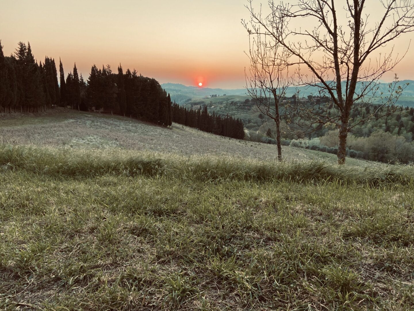 A view of the sun setting over a hill.