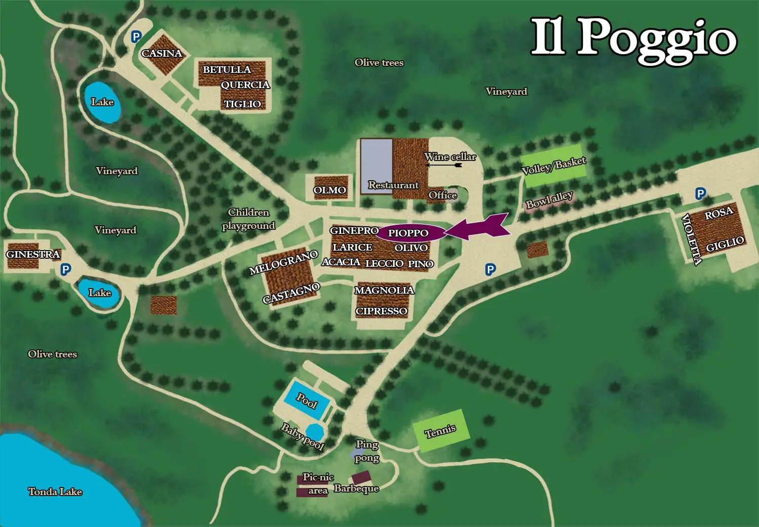 A map of the village of il poggibonsi
