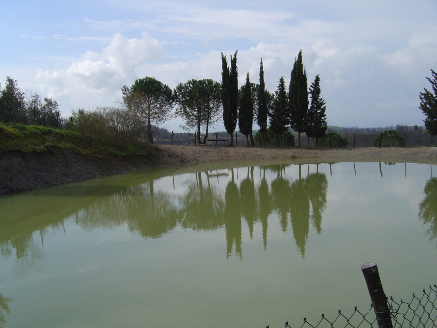 A pond with trees in the background and water